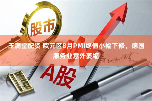 玉满堂配资 欧元区8月PMI终值小幅下修，德国服务业意外萎缩